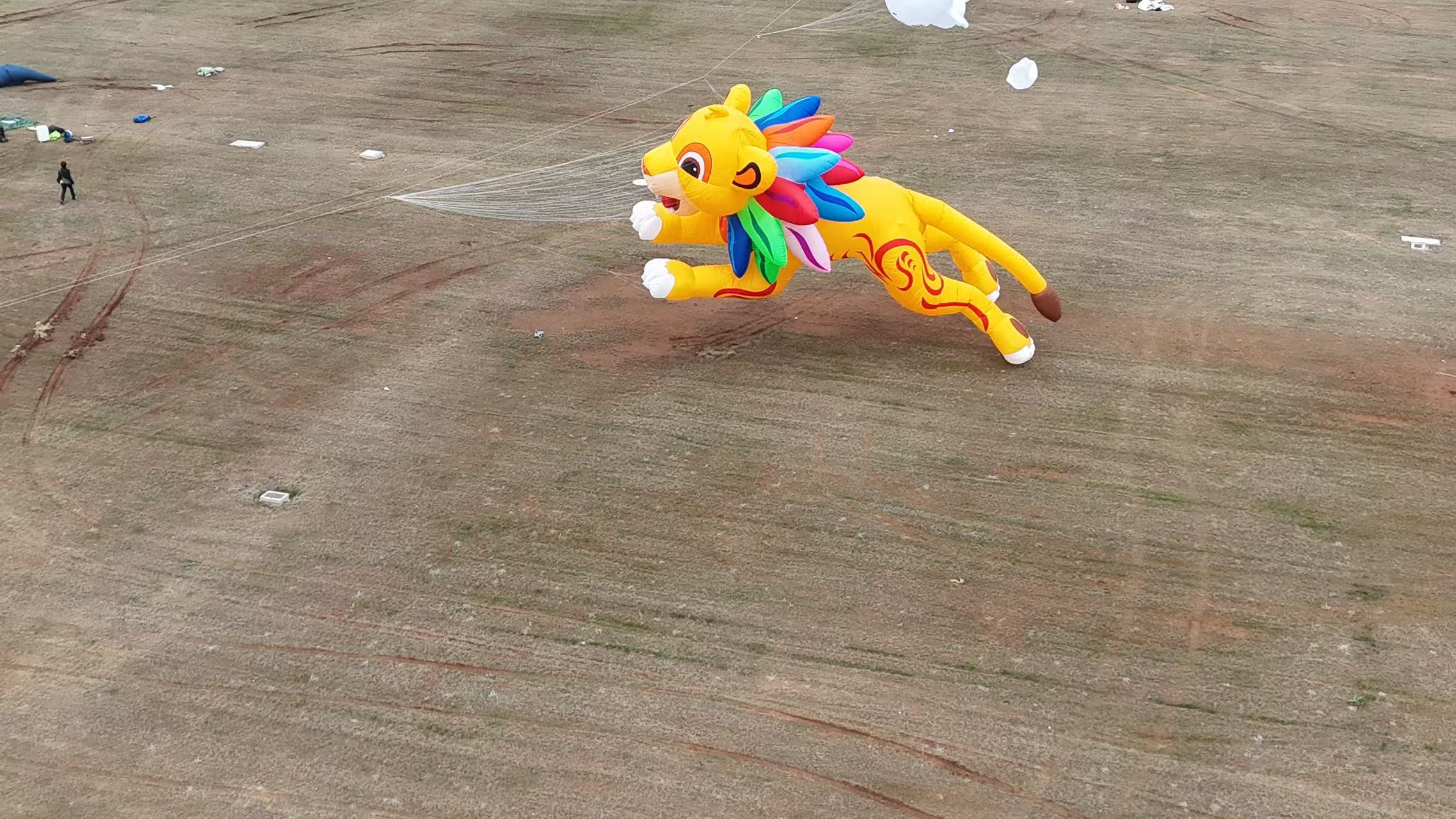 永州市品牌风筝定制儿童风筝定制 - 推荐